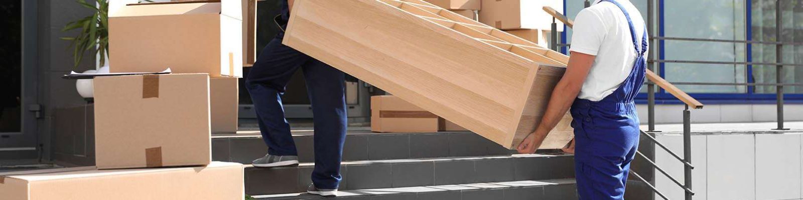 our-team-removalist our-team-removalist